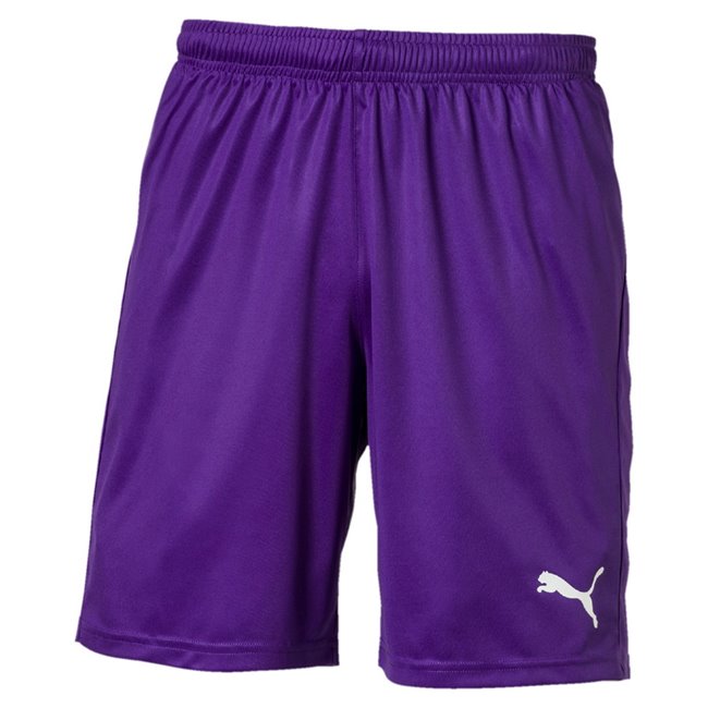 puma liga core shorts