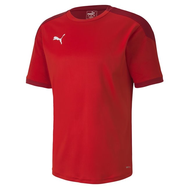 PUMA teamFINAL 21 Training T-shirt, Color: red, Material: 100% polyester