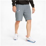 BMW MMS ESS TR men's shorts, Color: gray, Material: cotton, polyester